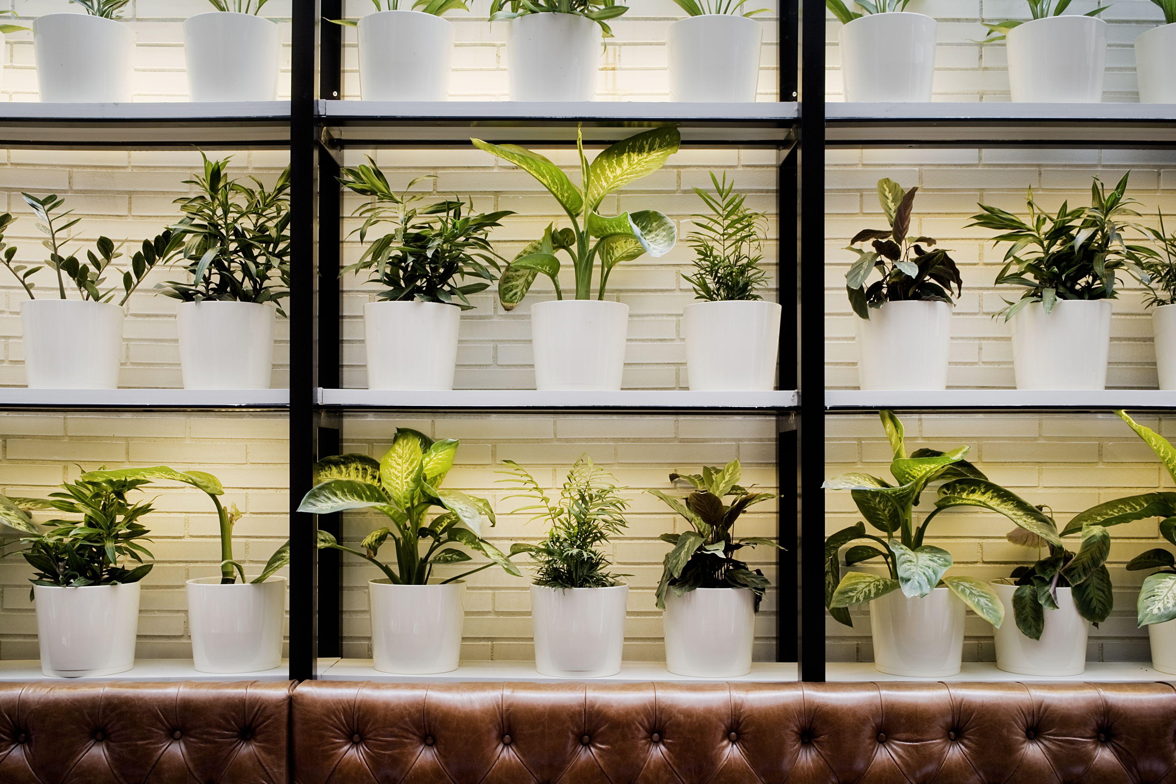 Praktik Bakery, Barcelona